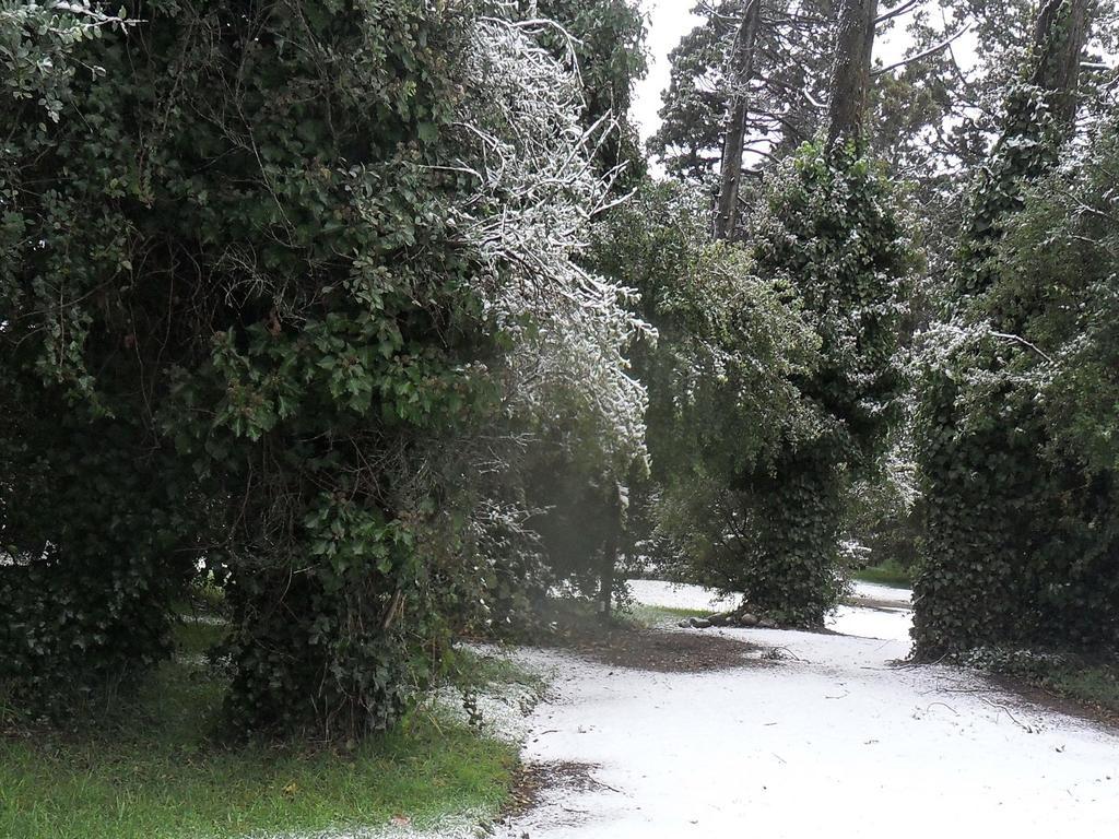 Htl La Malinka Hotell San Carlos de Bariloche Exteriör bild